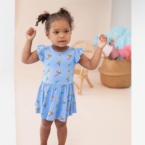 Kyte baby macaw bamboo twirl dress